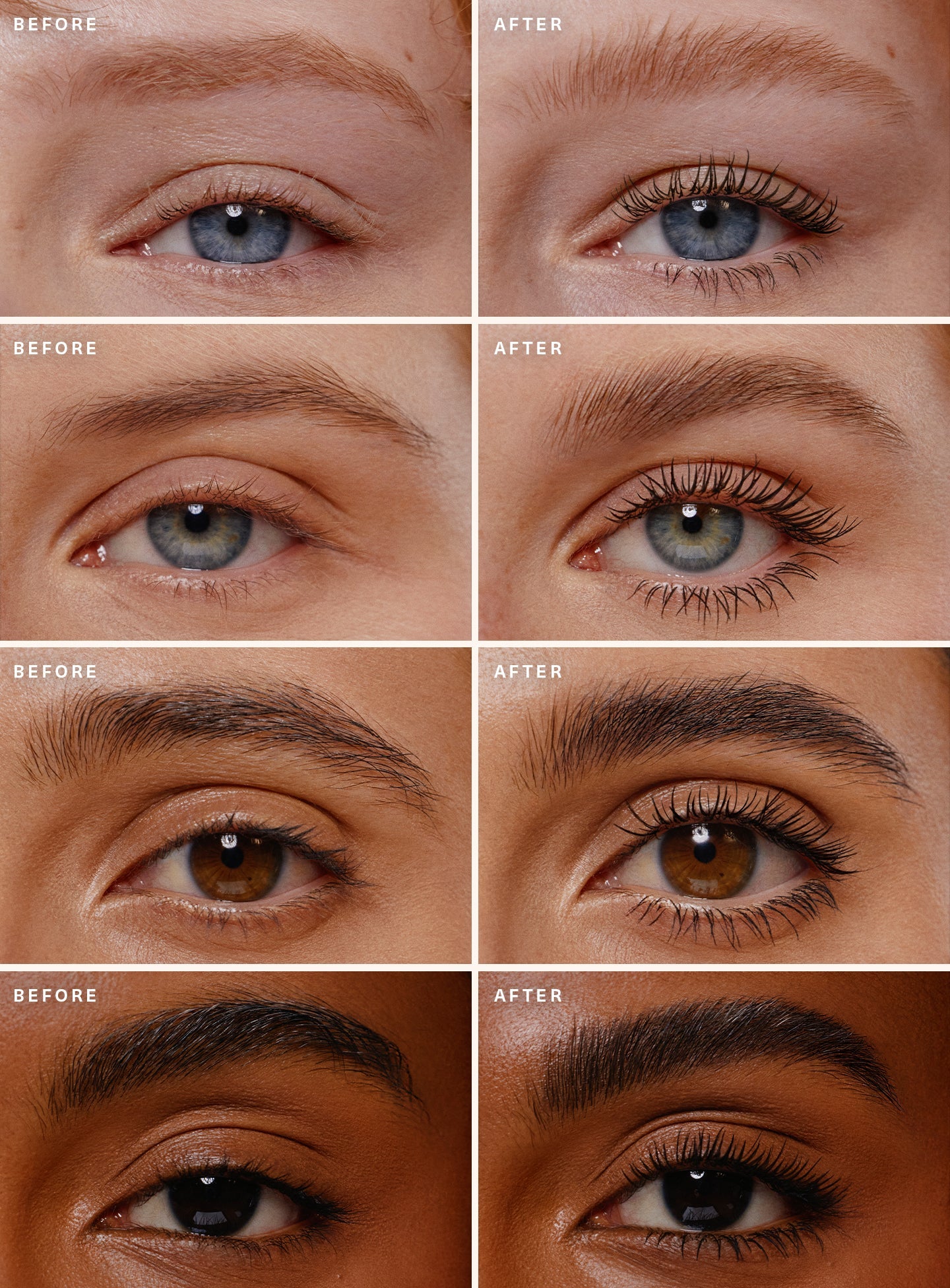 Selena’s Lash & Brow Duo